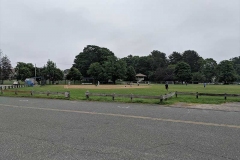 Central-Park-Field