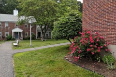 Wheeler-Park-Housing